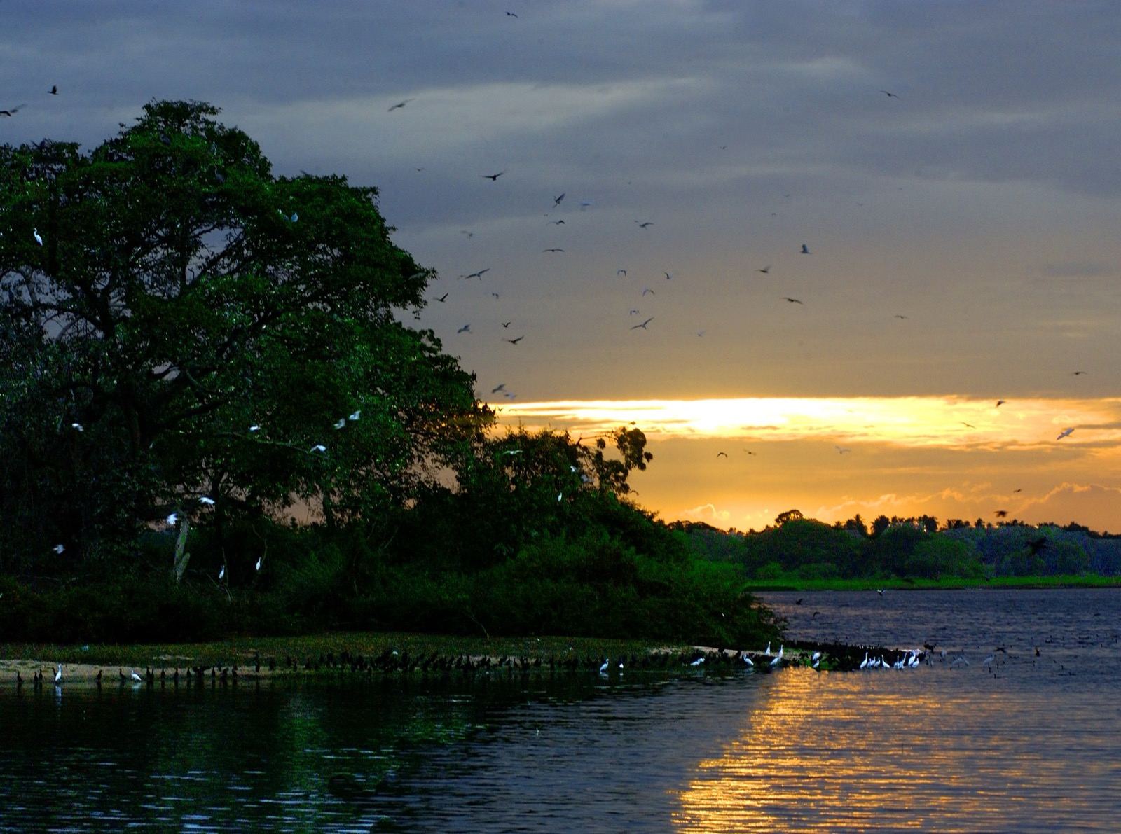 Wildlife landscape near Hambantota, Sri Lanka